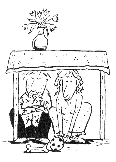 Иллюстрация к книге — Новости о господине Белло [i_008.jpg]