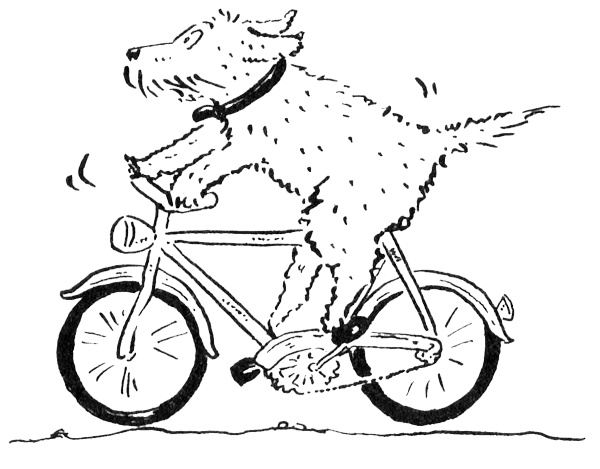 Иллюстрация к книге — Новости о господине Белло [i_012.jpg]