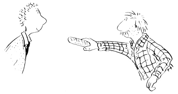 Иллюстрация к книге — Новости о господине Белло [i_031.jpg]