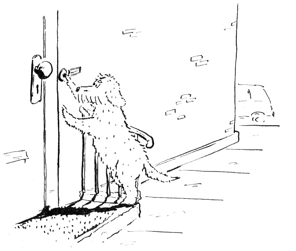 Иллюстрация к книге — Новости о господине Белло [i_037.jpg]