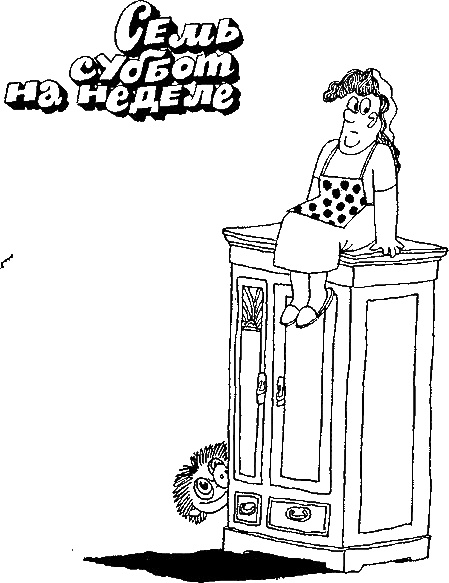 Иллюстрация к книге — Семь суббот на неделе [i_003.jpg]