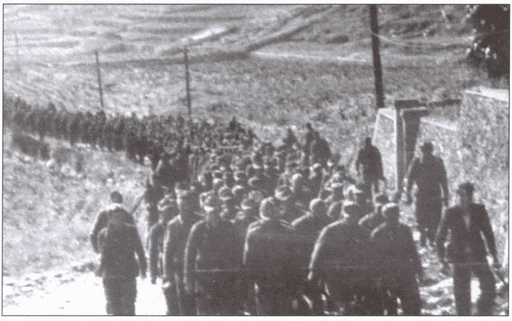 Иллюстрация к книге — Плен. Жизнь и смерть в немецких лагерях [i_030.jpg]