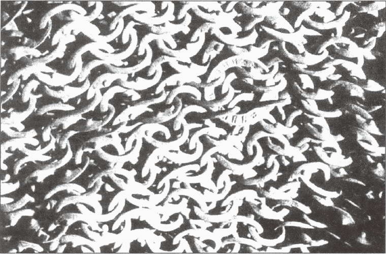 Иллюстрация к книге — Варяжская гвардия Византии [i_017.jpg]