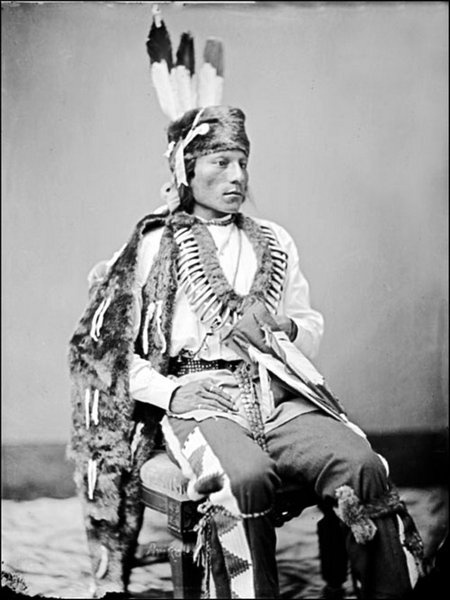 Иллюстрация к книге — Завоевание Дикого Запада. «Хороший индеец – мертвый индеец» [i_013.jpg]