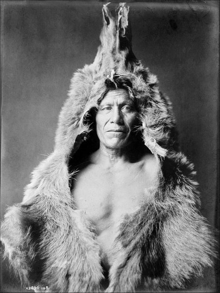 Иллюстрация к книге — Завоевание Дикого Запада. «Хороший индеец – мертвый индеец» [i_015.jpg]