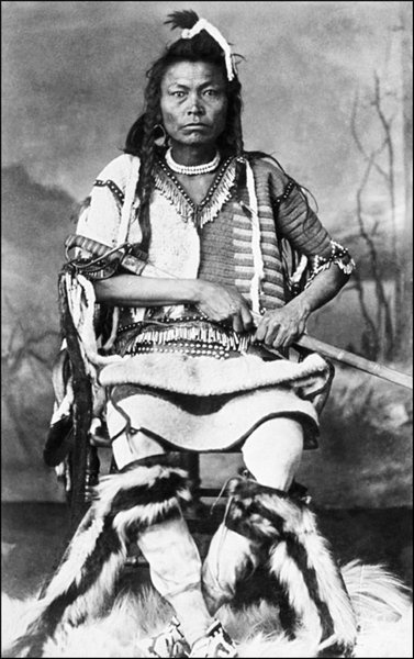 Иллюстрация к книге — Завоевание Дикого Запада. «Хороший индеец – мертвый индеец» [i_026.jpg]