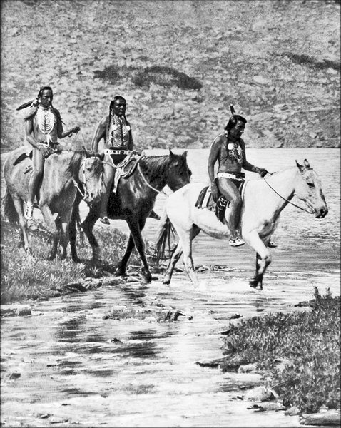 Иллюстрация к книге — Завоевание Дикого Запада. «Хороший индеец – мертвый индеец» [i_029.jpg]