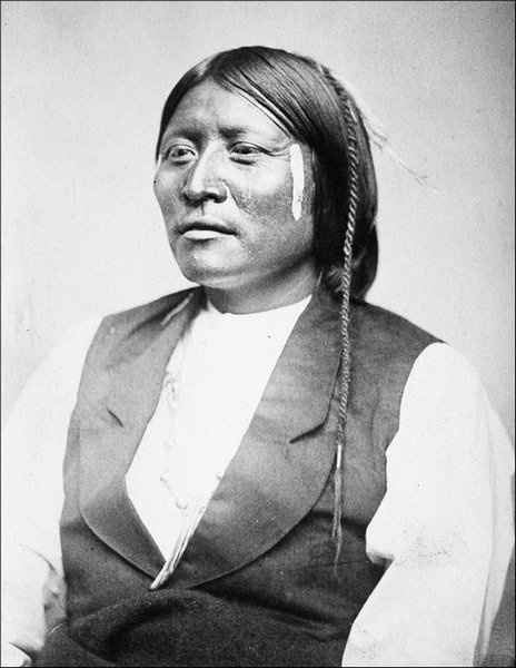 Иллюстрация к книге — Завоевание Дикого Запада. «Хороший индеец – мертвый индеец» [i_051.jpg]