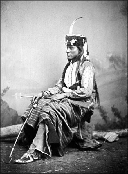 Иллюстрация к книге — Завоевание Дикого Запада. «Хороший индеец – мертвый индеец» [i_064.jpg]