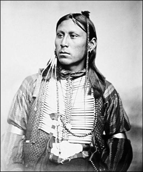 Иллюстрация к книге — Завоевание Дикого Запада. «Хороший индеец – мертвый индеец» [i_067.jpg]