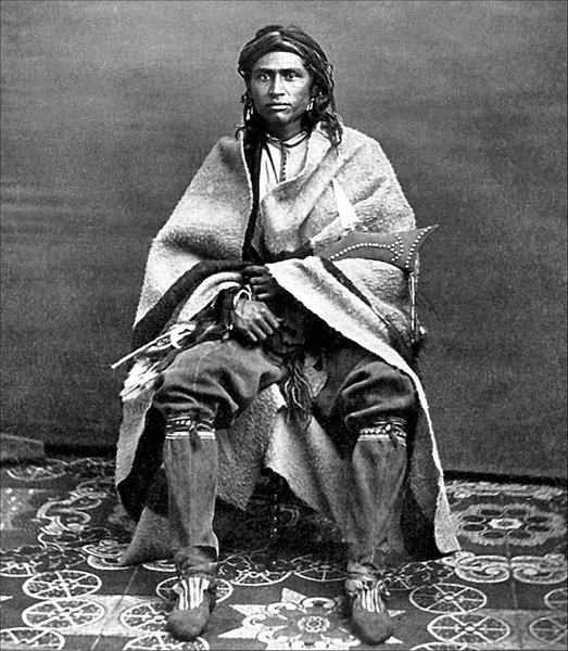 Иллюстрация к книге — Завоевание Дикого Запада. «Хороший индеец – мертвый индеец» [i_098.jpg]