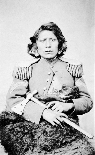 Иллюстрация к книге — Завоевание Дикого Запада. «Хороший индеец – мертвый индеец» [i_117.jpg]