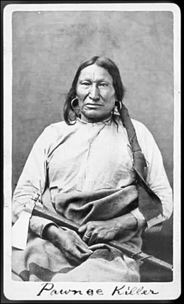 Иллюстрация к книге — Завоевание Дикого Запада. «Хороший индеец – мертвый индеец» [i_118.jpg]