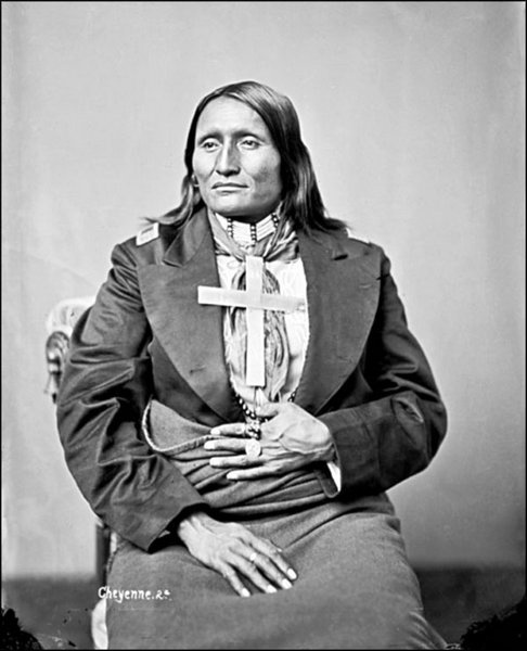 Иллюстрация к книге — Завоевание Дикого Запада. «Хороший индеец – мертвый индеец» [i_119.jpg]