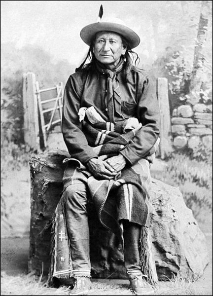 Иллюстрация к книге — Завоевание Дикого Запада. «Хороший индеец – мертвый индеец» [i_123.jpg]