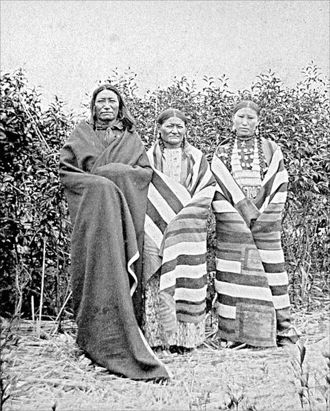 Иллюстрация к книге — Завоевание Дикого Запада. «Хороший индеец – мертвый индеец» [i_146.jpg]