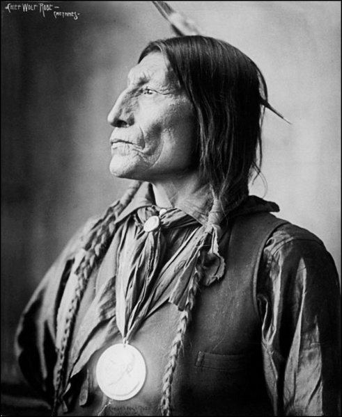 Иллюстрация к книге — Завоевание Дикого Запада. «Хороший индеец – мертвый индеец» [i_152.jpg]