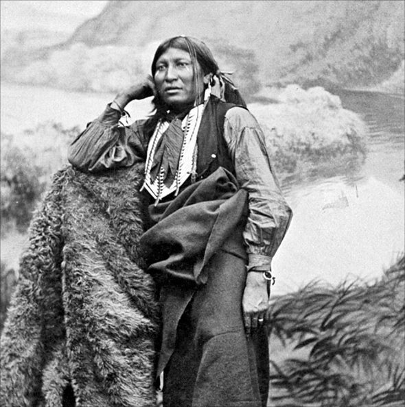 Иллюстрация к книге — Завоевание Дикого Запада. «Хороший индеец – мертвый индеец» [i_169.jpg]