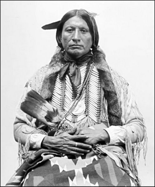 Иллюстрация к книге — Завоевание Дикого Запада. «Хороший индеец – мертвый индеец» [i_170.jpg]