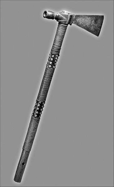 Иллюстрация к книге — Завоевание Дикого Запада. «Хороший индеец – мертвый индеец» [i_175.jpg]