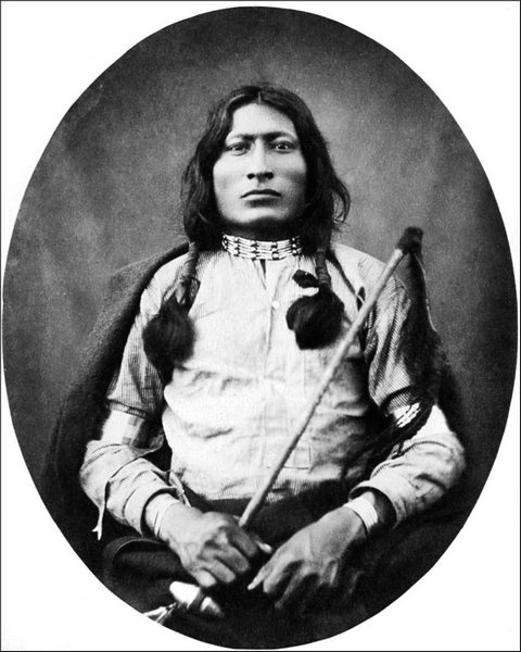 Иллюстрация к книге — Завоевание Дикого Запада. «Хороший индеец – мертвый индеец» [i_195.jpg]