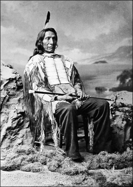 Иллюстрация к книге — Завоевание Дикого Запада. «Хороший индеец – мертвый индеец» [i_198.jpg]