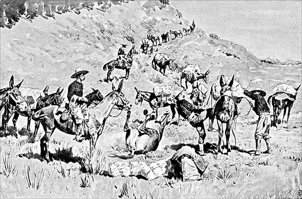 Иллюстрация к книге — Завоевание Дикого Запада. «Хороший индеец – мертвый индеец» [i_202.jpg]