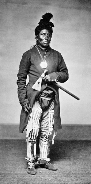 Иллюстрация к книге — Завоевание Дикого Запада. «Хороший индеец – мертвый индеец» [i_207.jpg]