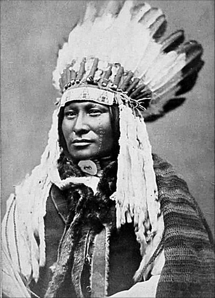 Иллюстрация к книге — Завоевание Дикого Запада. «Хороший индеец – мертвый индеец» [i_215.jpg]