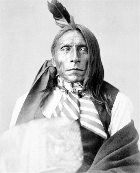 Иллюстрация к книге — Завоевание Дикого Запада. «Хороший индеец – мертвый индеец» [i_232.jpg]