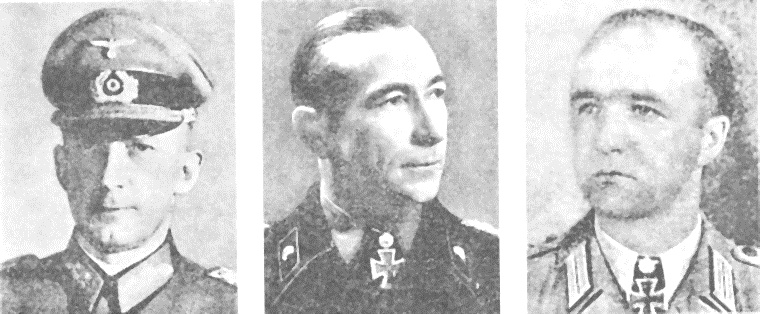 Иллюстрация к книге — 14-я танковая дивизия. 1940-1945 [i_036.jpg]