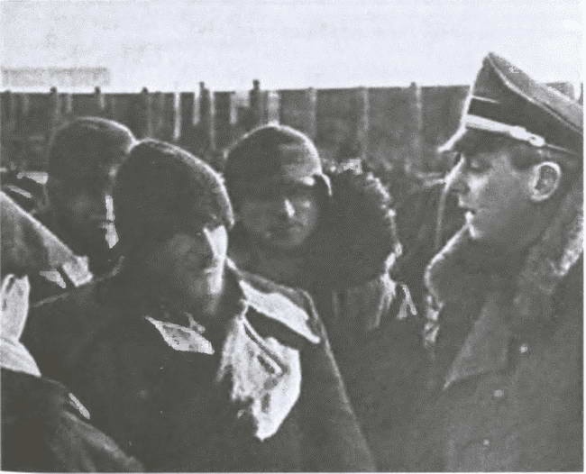 Иллюстрация к книге — «Советские немцы» и другие фольксдойче в войсках СС [i_015.jpg]