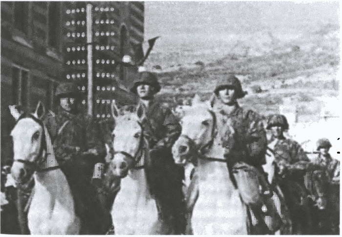 Иллюстрация к книге — «Советские немцы» и другие фольксдойче в войсках СС [i_027.jpg]