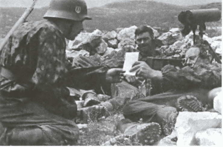 Иллюстрация к книге — «Советские немцы» и другие фольксдойче в войсках СС [i_028.jpg]