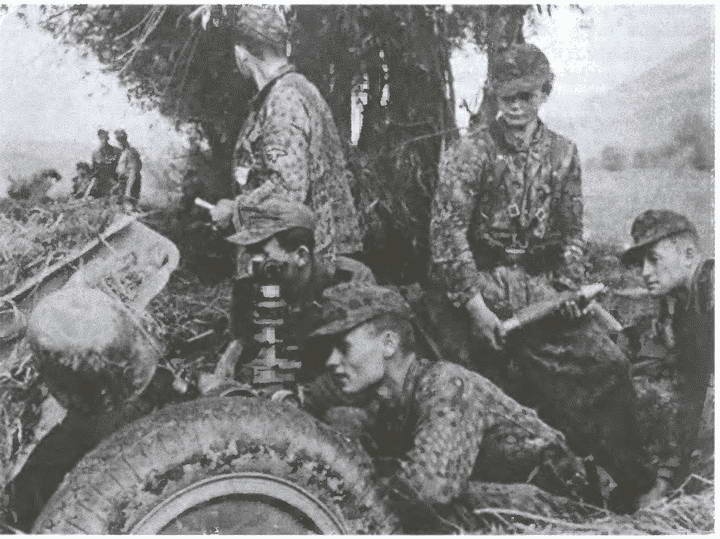 Иллюстрация к книге — «Советские немцы» и другие фольксдойче в войсках СС [i_034.jpg]