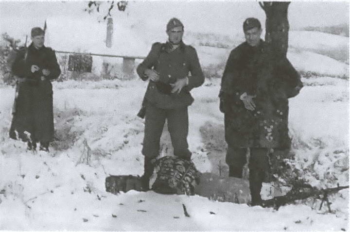 Иллюстрация к книге — «Советские немцы» и другие фольксдойче в войсках СС [i_042.jpg]