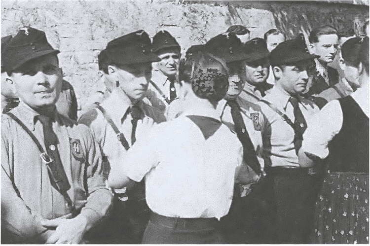 Иллюстрация к книге — «Советские немцы» и другие фольксдойче в войсках СС [i_043.jpg]