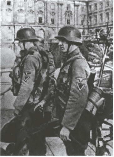 Иллюстрация к книге — «Советские немцы» и другие фольксдойче в войсках СС [i_052.jpg]