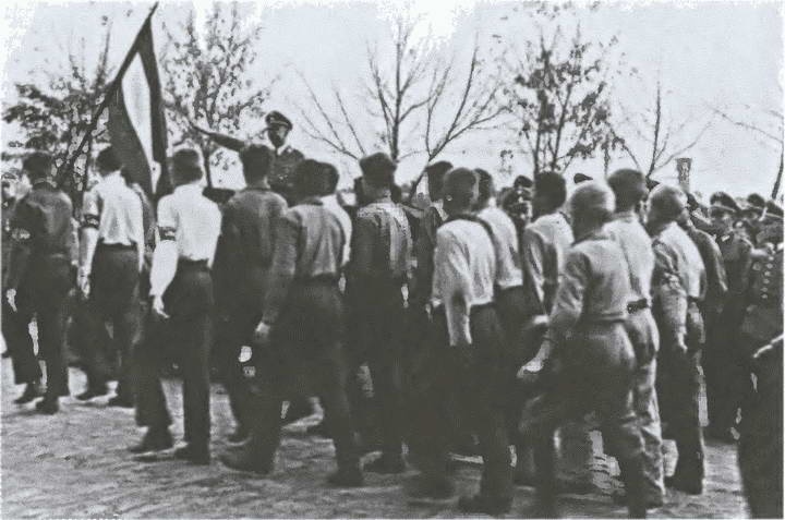 Иллюстрация к книге — «Советские немцы» и другие фольксдойче в войсках СС [i_063.jpg]