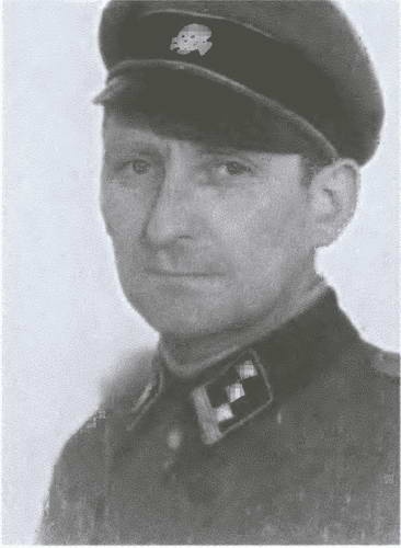 Иллюстрация к книге — «Советские немцы» и другие фольксдойче в войсках СС [i_065.jpg]