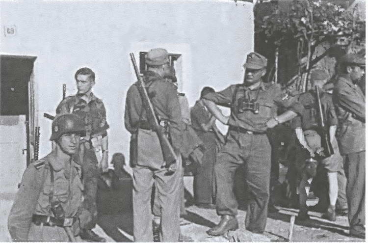 Иллюстрация к книге — «Советские немцы» и другие фольксдойче в войсках СС [i_068.jpg]