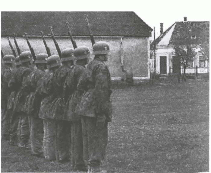 Иллюстрация к книге — «Советские немцы» и другие фольксдойче в войсках СС [i_078.jpg]