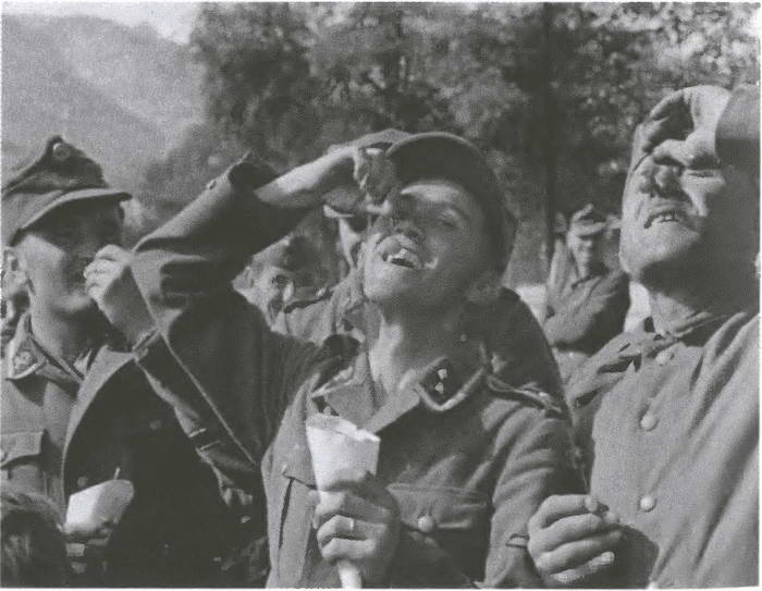 Иллюстрация к книге — «Советские немцы» и другие фольксдойче в войсках СС [i_082.jpg]