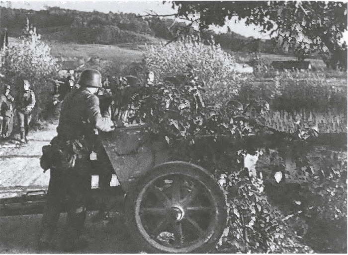 Иллюстрация к книге — «Советские немцы» и другие фольксдойче в войсках СС [i_085.jpg]