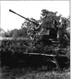 Иллюстрация к книге — 10-я танковая дивизия СС "Фрундсберг" [p076.jpg]