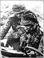 Иллюстрация к книге — 10-я танковая дивизия СС "Фрундсберг" [p082.jpg]