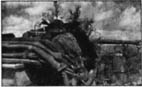 Иллюстрация к книге — 10-я танковая дивизия СС "Фрундсберг" [p091.jpg]