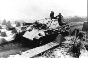 Иллюстрация к книге — 10-я танковая дивизия СС "Фрундсберг" [p221.jpg]