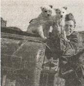 Иллюстрация к книге — 1943. Дивизия СС "Рейх" на Восточном фронте [i_006.jpg]