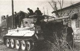 Иллюстрация к книге — 1943. Дивизия СС "Рейх" на Восточном фронте [i_030.jpg]